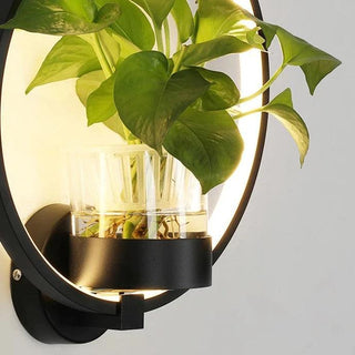 Wall Sconce Planter | Lumilya