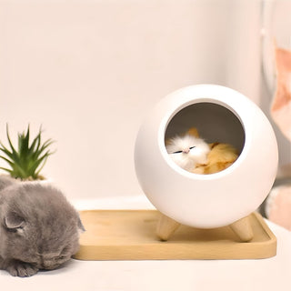 Rechargeable Kitten Night Light | Children Night Lights